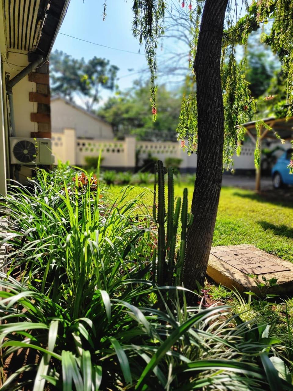 Annodas Homes Milimani คิซูมู ภายนอก รูปภาพ